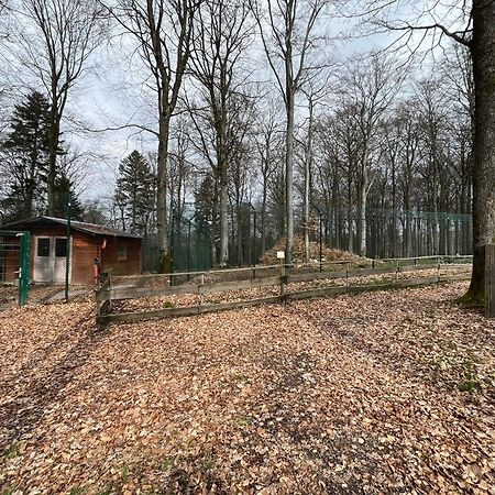 Hochwald Lodge Morbach Exterior photo