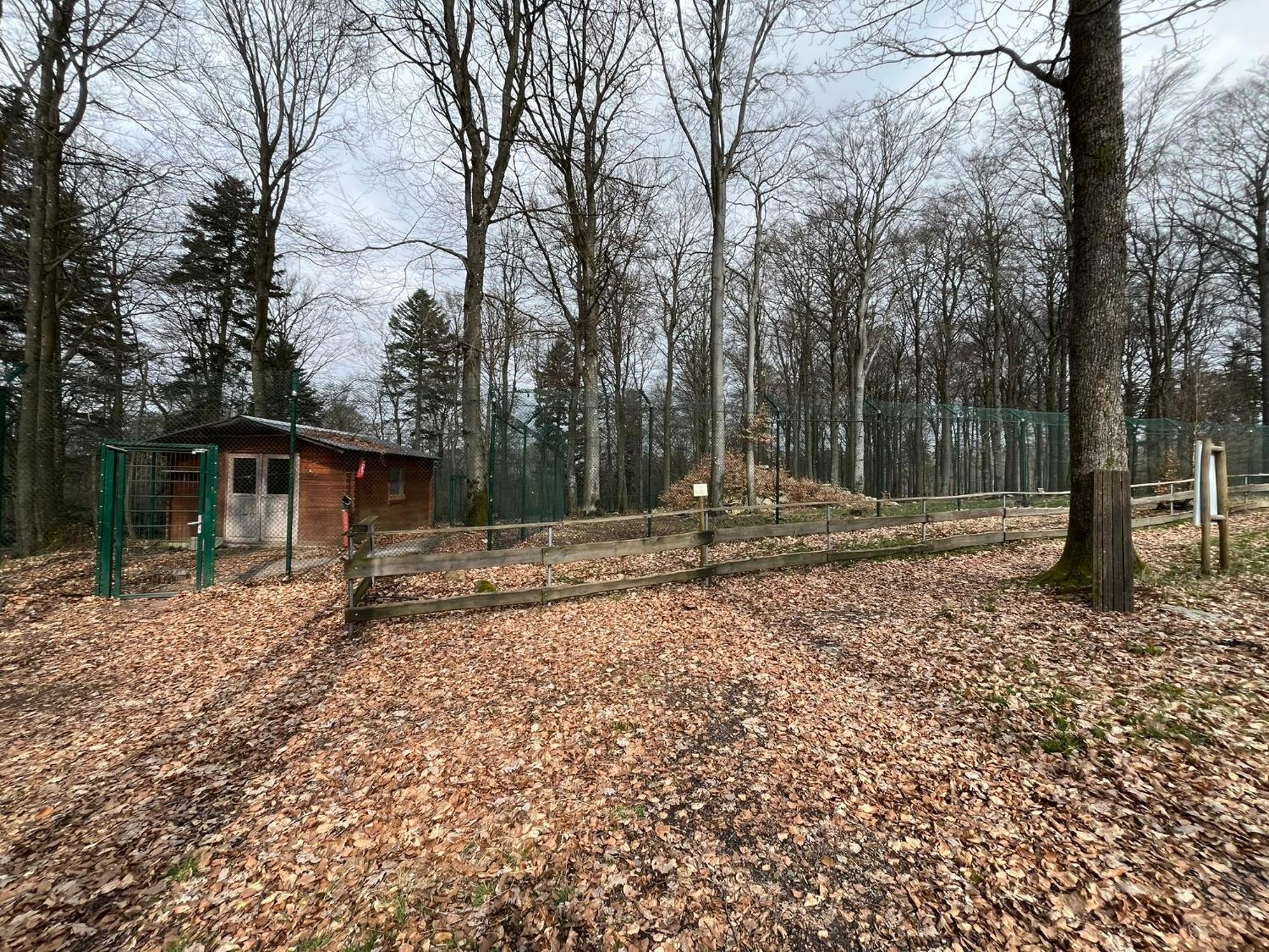 Hochwald Lodge Morbach Exterior photo